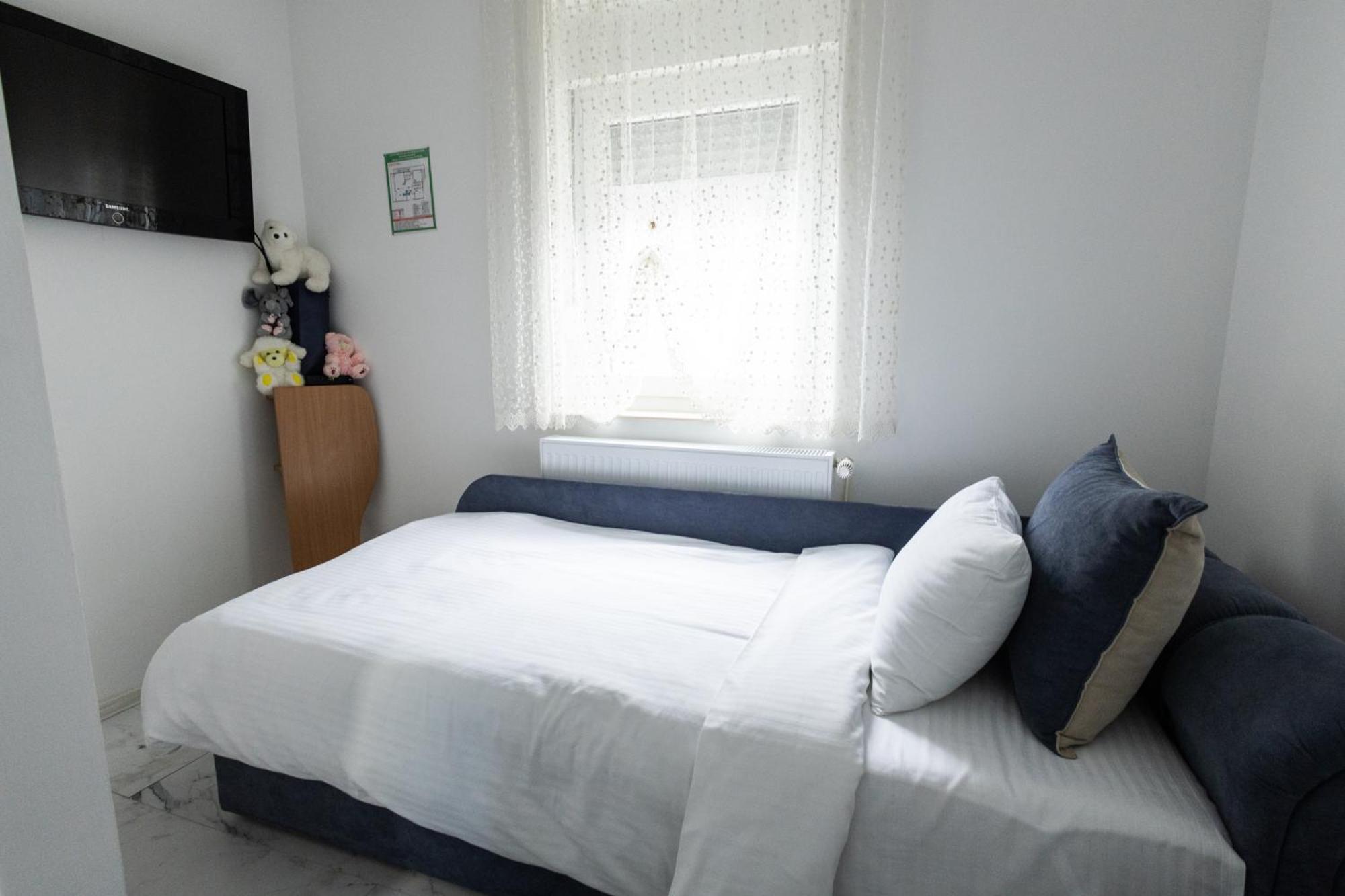 Appartement Apartman Albijanic à Sremska Kamenica Extérieur photo