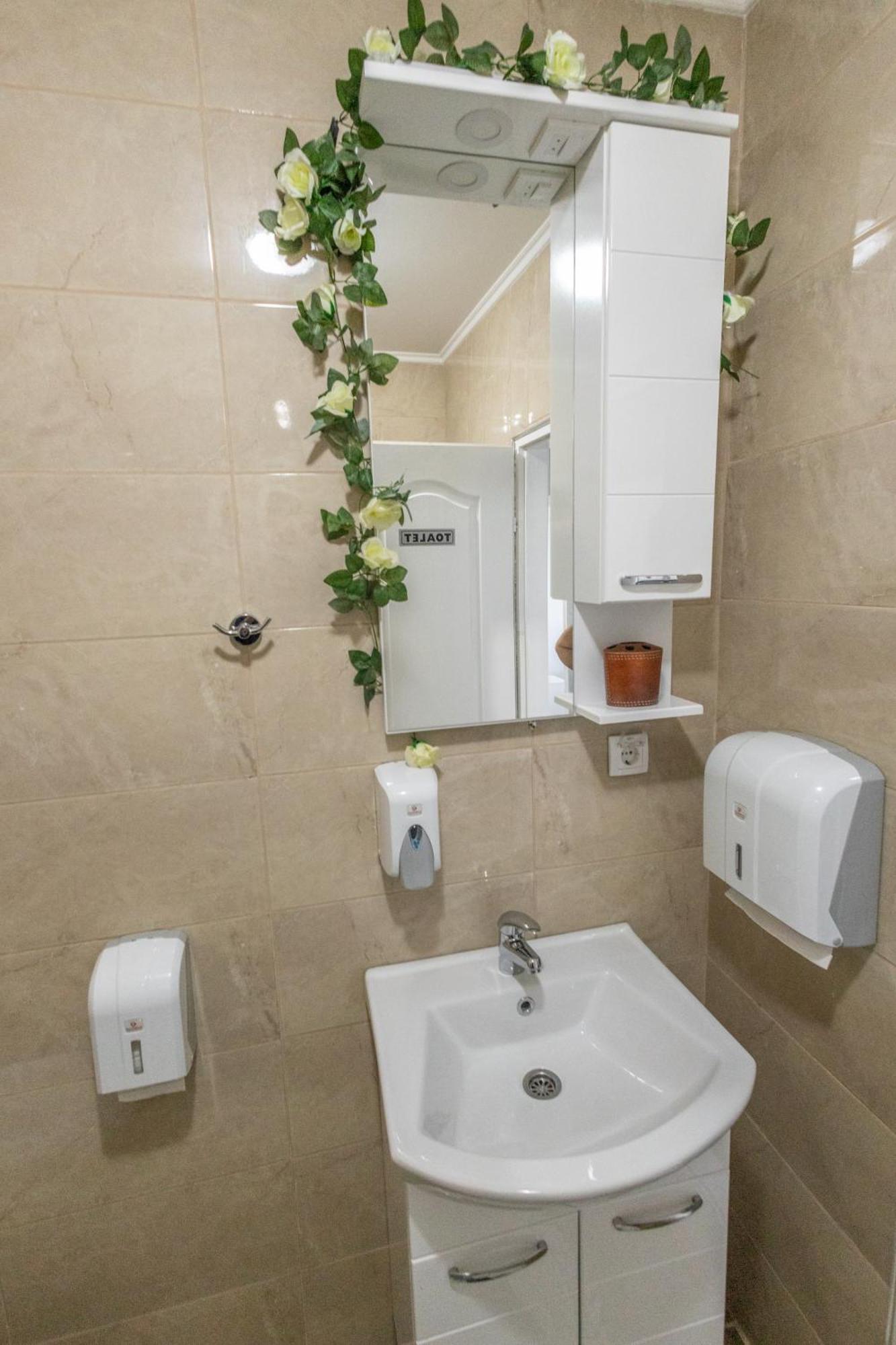 Appartement Apartman Albijanic à Sremska Kamenica Extérieur photo