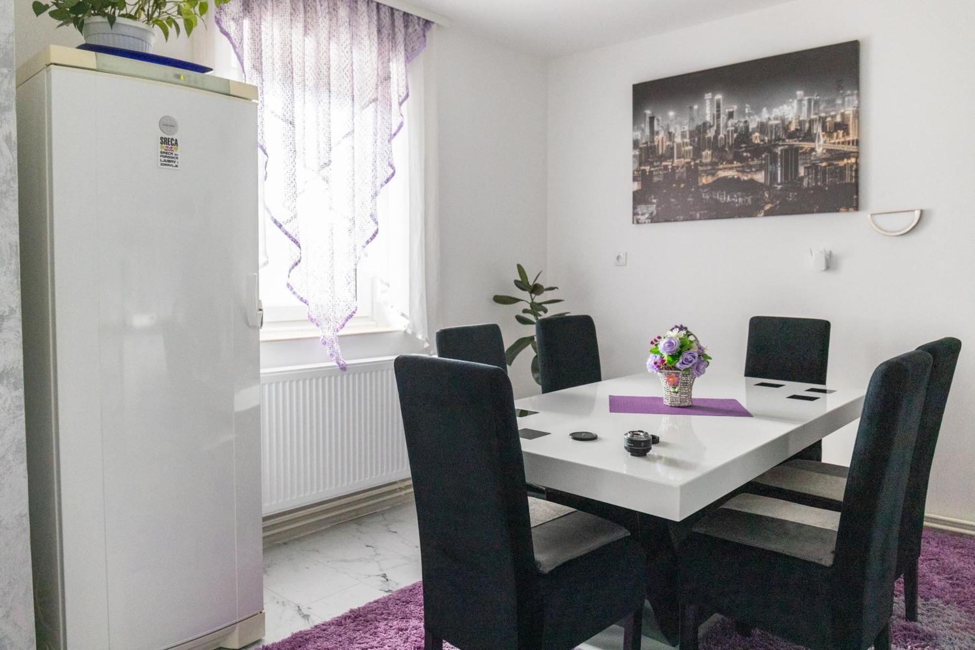 Appartement Apartman Albijanic à Sremska Kamenica Extérieur photo