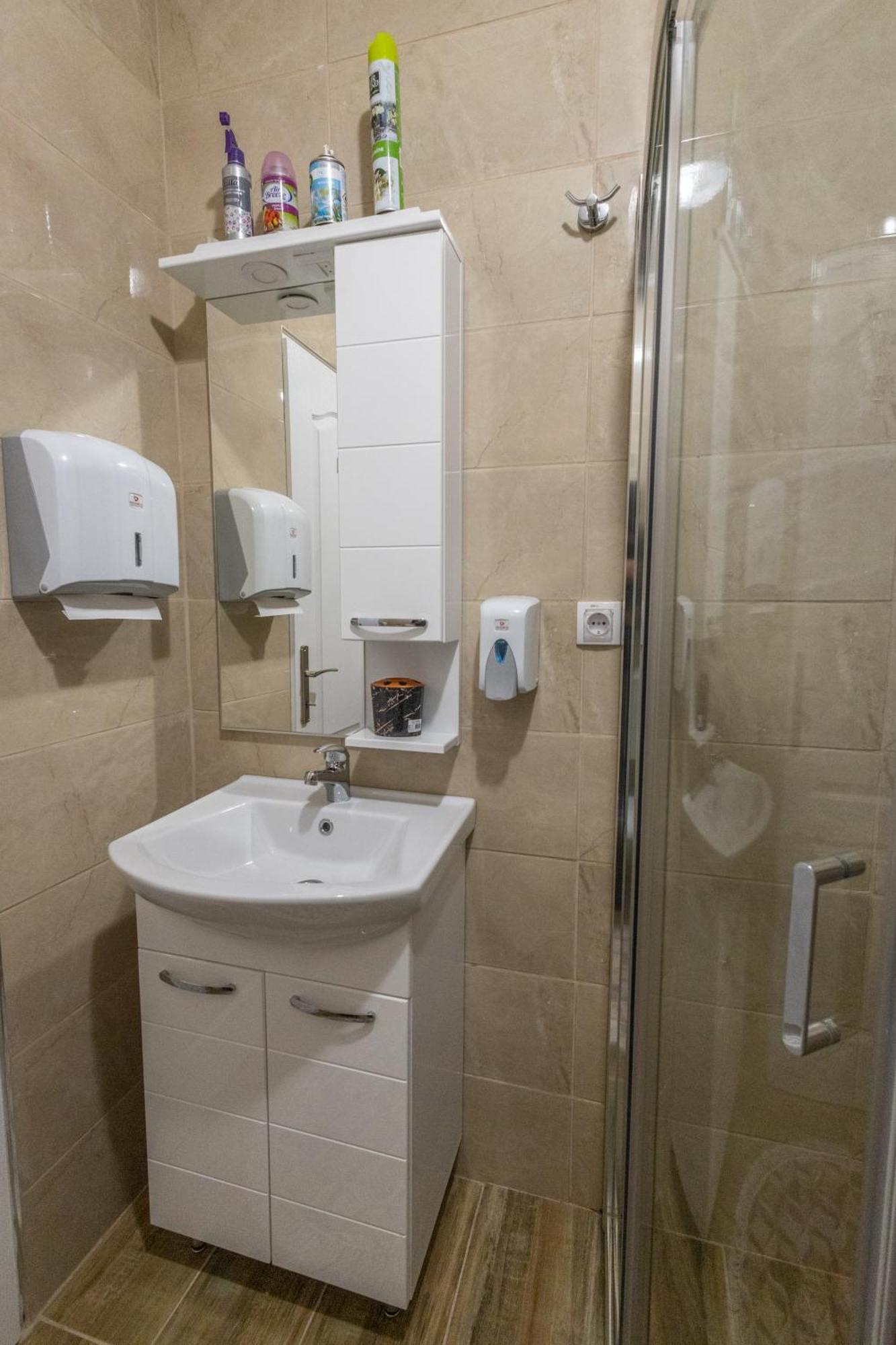 Appartement Apartman Albijanic à Sremska Kamenica Extérieur photo