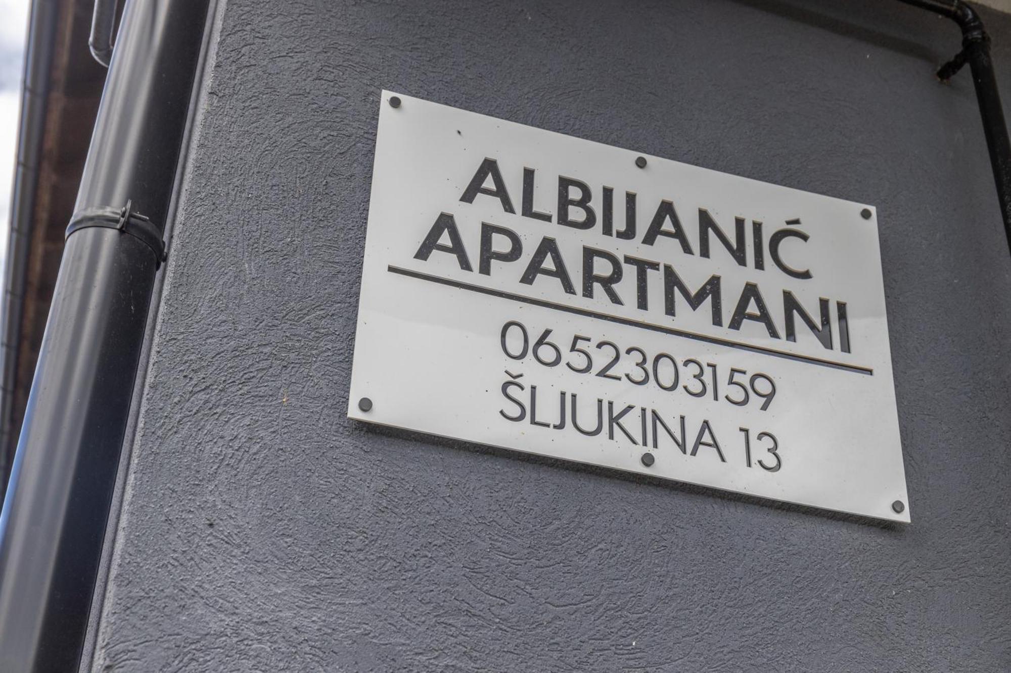 Appartement Apartman Albijanic à Sremska Kamenica Extérieur photo