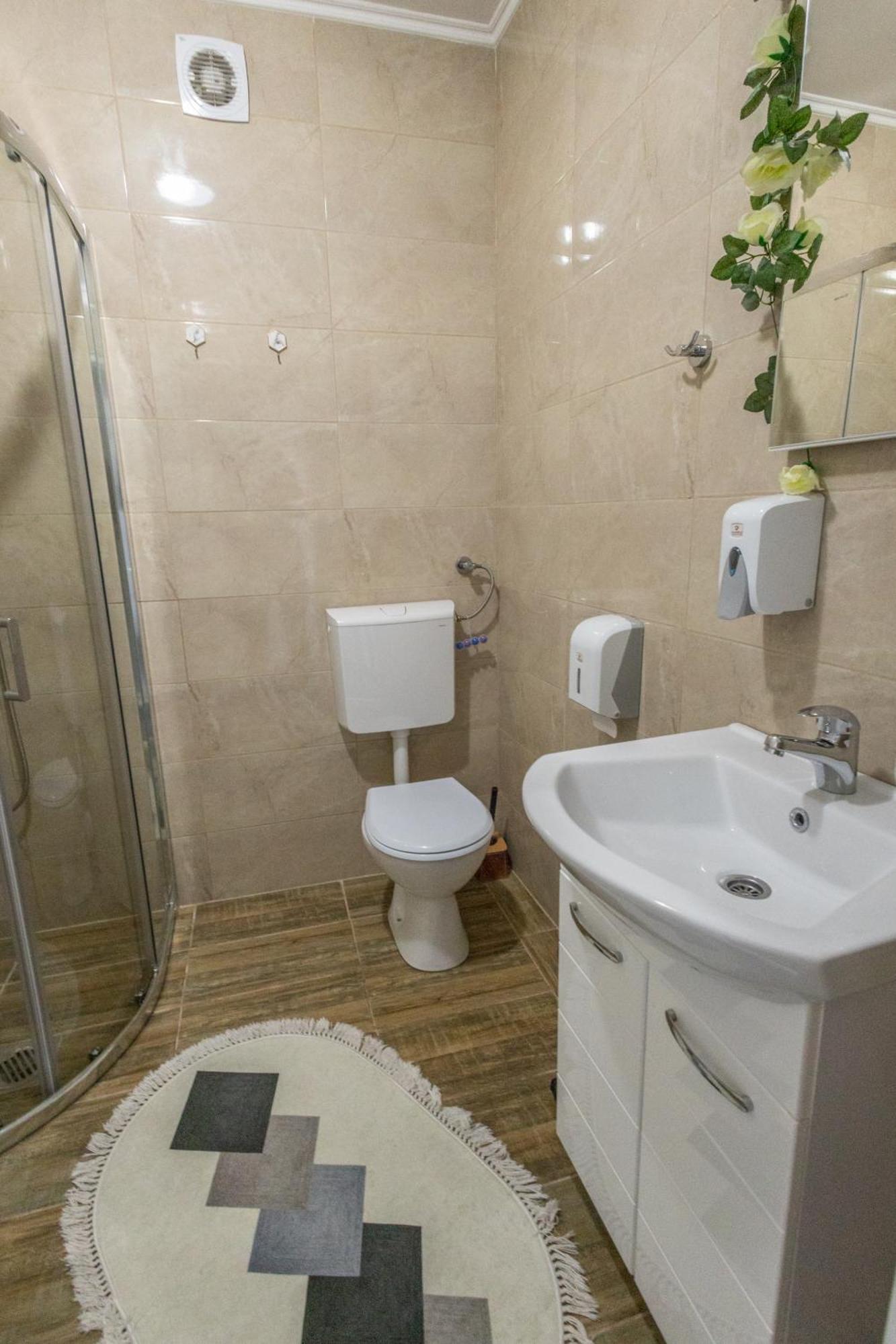 Appartement Apartman Albijanic à Sremska Kamenica Extérieur photo